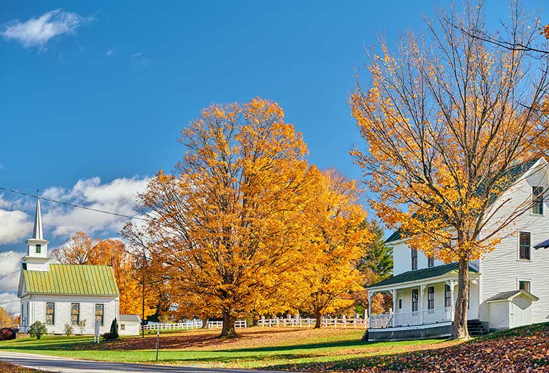 chester homes for sale